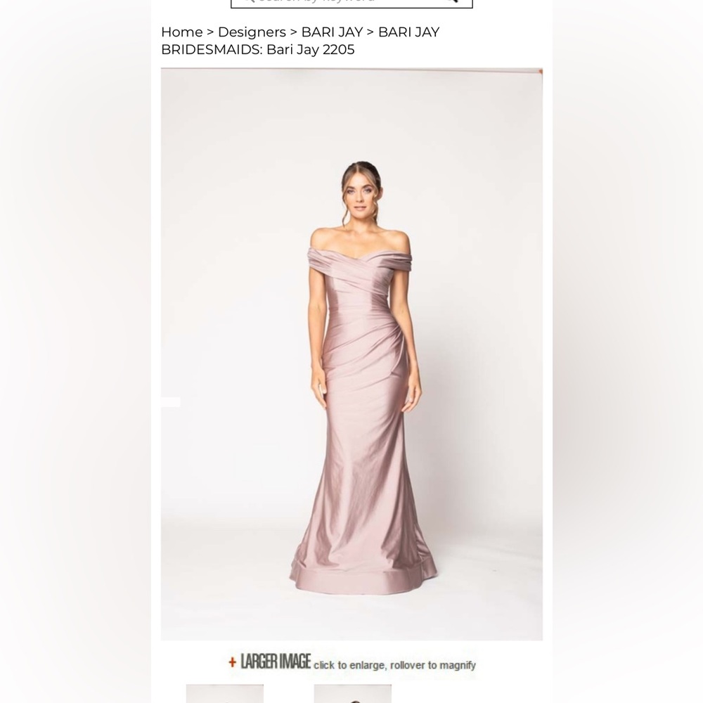 Bari Jay Bridesmaid Dress Style 2205
